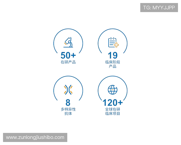 Z6尊龙网站登录入口详细操作流程及常见问题解决方案全方位解析