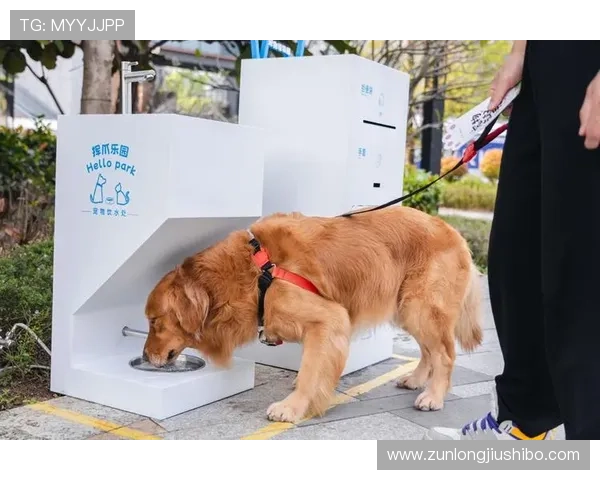 凯时网站最新安全保障措施全面解析助你安全畅玩游戏体验提升